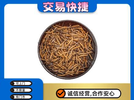 保山高价回收散虫草